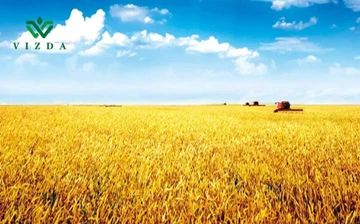 Пољопривредни извоз у Холандији
