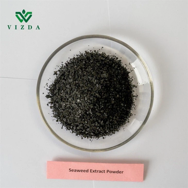 Seaweed Extract Nutrient Powder