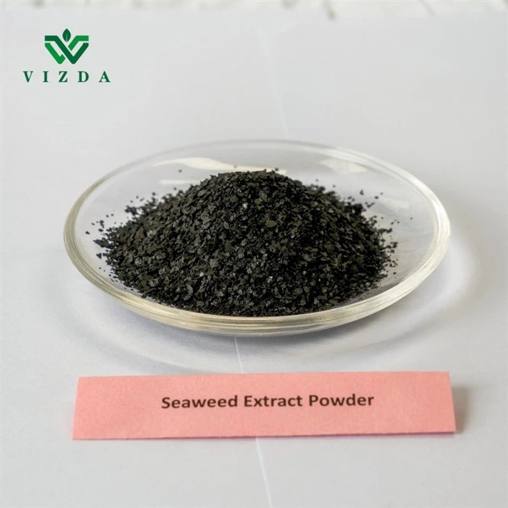 Seaweed Extract Nutrient Powder