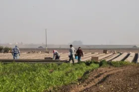 Веганиц отвара Нову подружницу Јужне Азије у Малезији